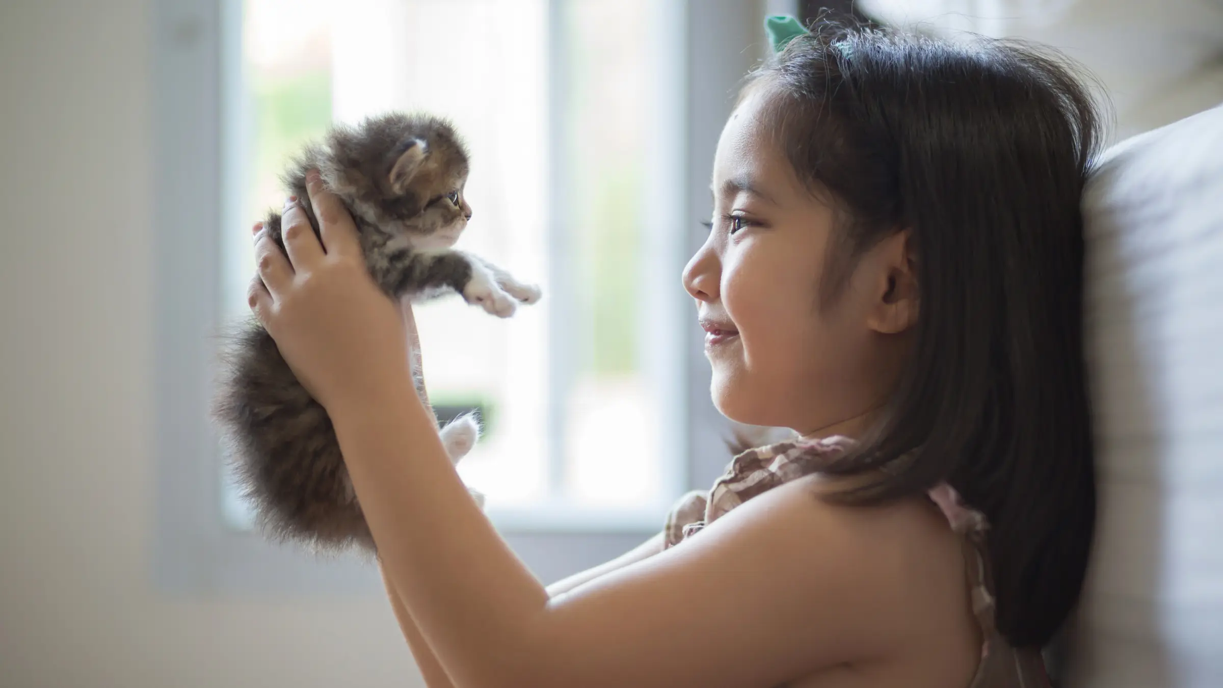 The Herbal Horse & Pet — documentary photography
